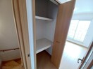同型参考写真 オレンジ　アベニュー