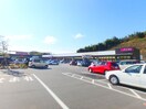 マックスバリュ桑名新西方店(スーパー)まで2401m マルベリー　ヒルズ　Ⅱ