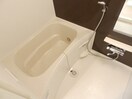 同物件別部屋の写真です フェリシアス　Ⅲ