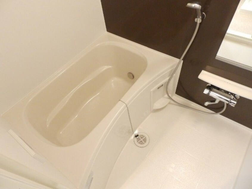 同物件別部屋の写真です フェリシアス　Ⅲ