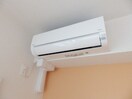 同物件別部屋の写真です フェリシアス　Ⅲ