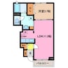 ルミエールⅢ 1LDKの間取り