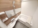 同型参考写真 ムーンライト