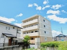 Ｍ．Ｋ．ｐｒｉｍｏｒの外観
