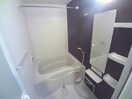 バス同タイプ部屋写真です。 サンリットＷ　Ⅰ