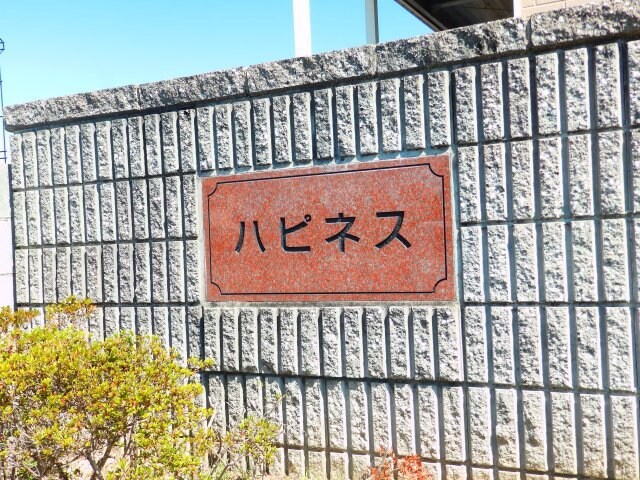  ハピネス