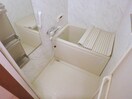 同型反転参考写真 メゾン・ド・アンジュ　Ａ