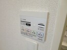 反転タイプ参考写真 ティエラ　ボニート　Ａ