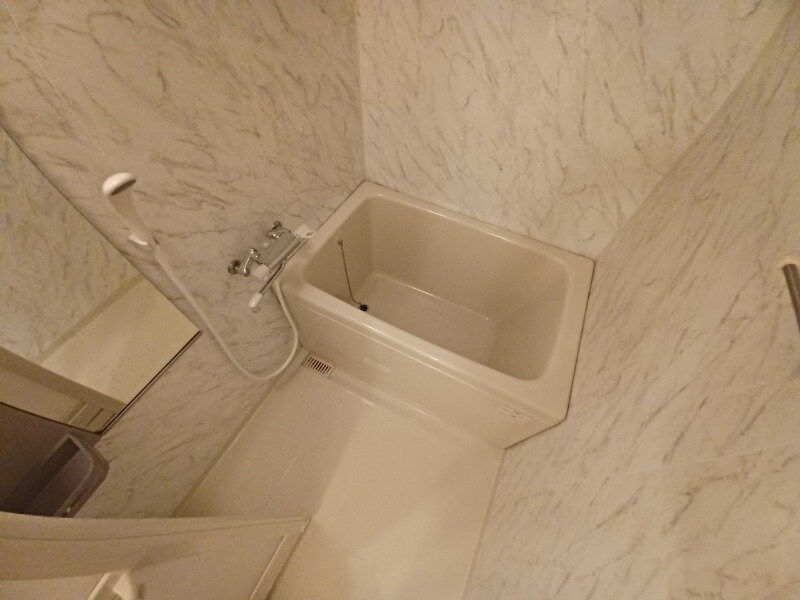 反転タイプ参考写真 イーストブルー