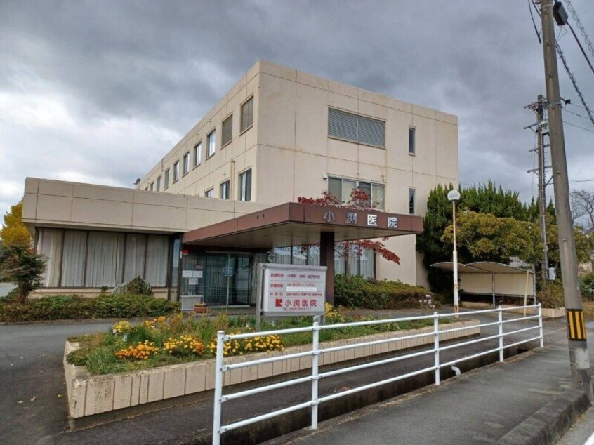 小渕病院(病院)まで412m Ｐｌａｉｒｅ　Ｄ