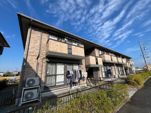 ｆｉｎｄ ｂｉｒｄｉｅ　Ｄ