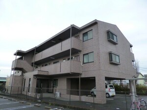 シャルムマスダⅢ