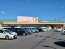 ぎゅーとらラブリー持川店(スーパー)まで946m シャルムマスダⅢ