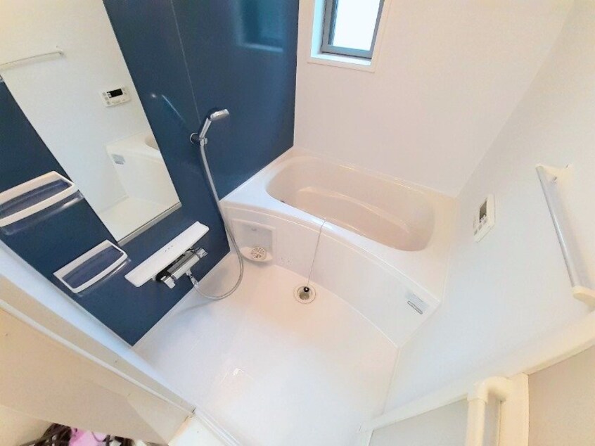 同型参考写真 Ａｎｇｅ