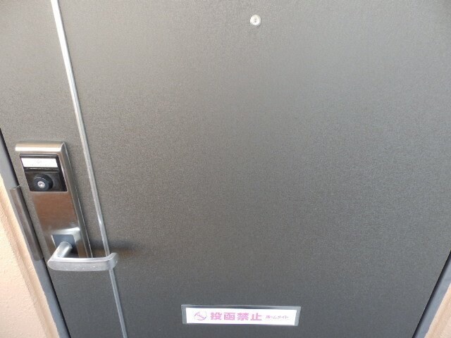  カンタベリーⅣ