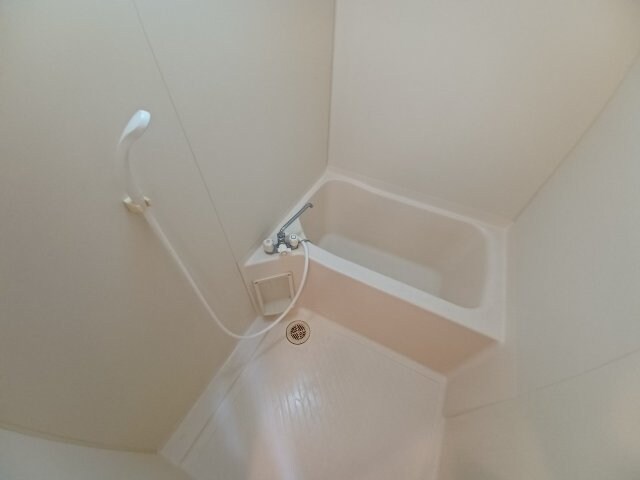  Ｓｔａｒ　Ｈｉｔｓ