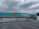 ドラッグセイムス一志店(ドラッグストア)まで3291m ブランズハッチ