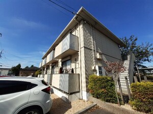 オレンジコート