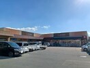 エーコープうれしの店(スーパー)まで660m アリエッティ