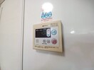 同型参考写真 エーマミイ