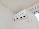 同型参考写真 エーマミイ