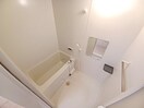同型参考写真 エーマミイ