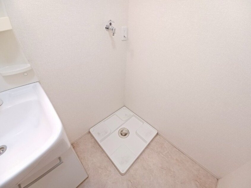 同型参考写真 エーマミイ