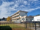 津市立戸木小学校(小学校)まで2475m ヴィラナリー津　A棟
