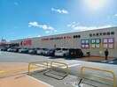 ラ・ムー津南店(ショッピングセンター/アウトレットモール)まで1145m ノワエブラン利平治