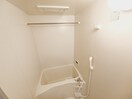 同型参考写真 アンジュール川方
