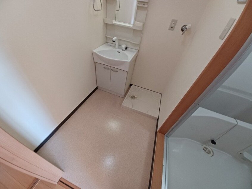 反転タイプ参考写真 アンジュー
