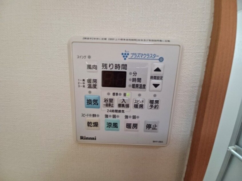 反転タイプ参考写真 アンジュー