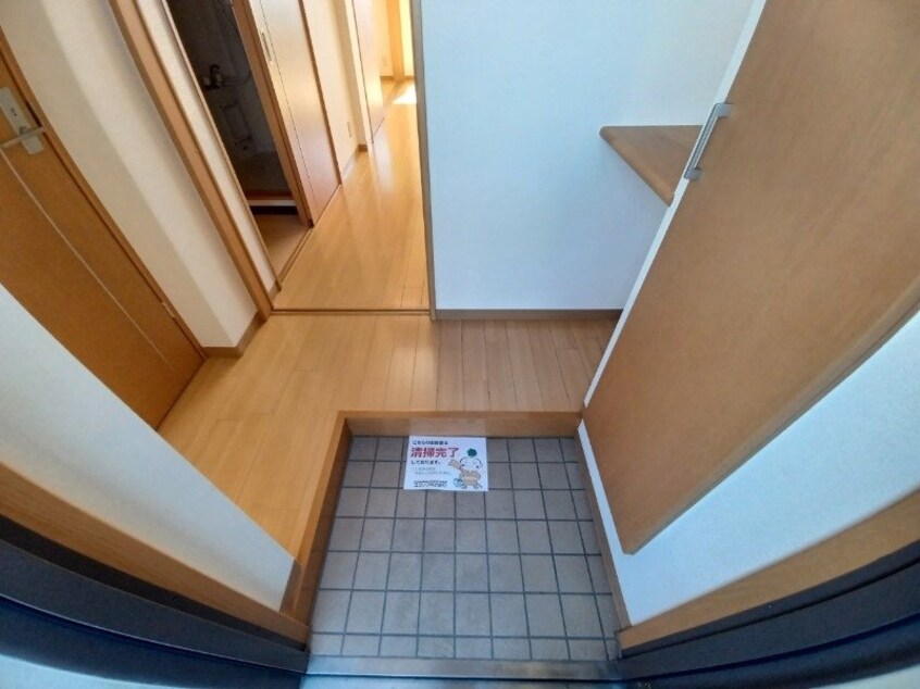 反転タイプ参考写真 アンジュー