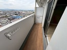 参考写真 ラフィーネ
