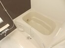 同型部屋写真です。 ランドマーク　０８２６　Ⅰ