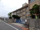 津市立育生小学校(小学校)まで1964m アンフィニ