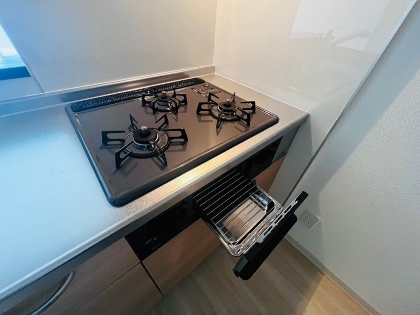 同型参考写真 シエン　フルール