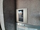  プランタン ユイット
