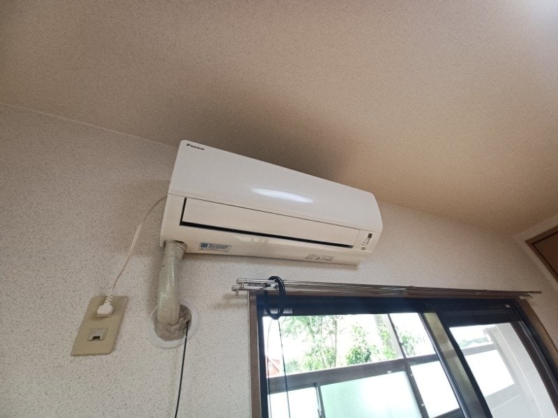 反転タイプ参考写真 りんどうⅢ