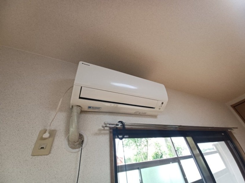 反転タイプ参考写真 りんどうⅢ