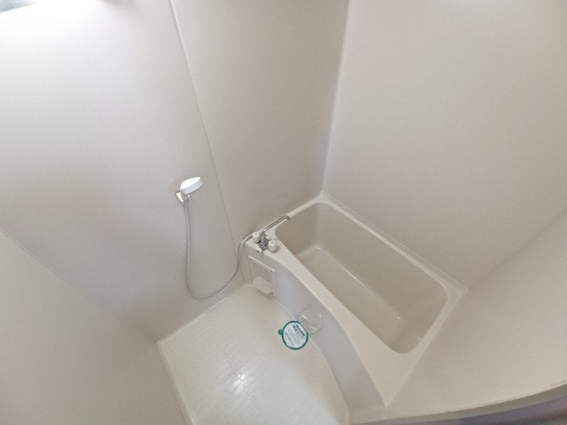 反転タイプ参考写真 りんどうⅢ