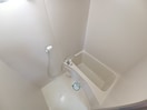 反転タイプ参考写真 りんどうⅢ