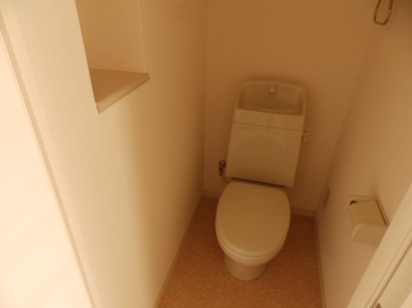  マエストロ斎宮