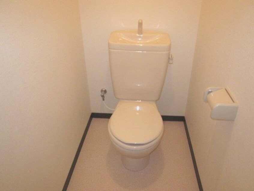 同型参考写真 マエストロ伊勢