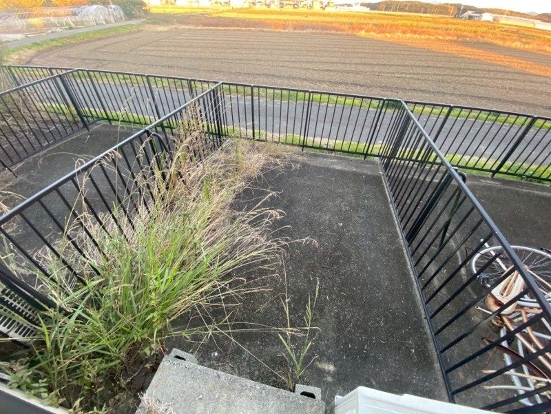  ダンケタカミヤⅡ