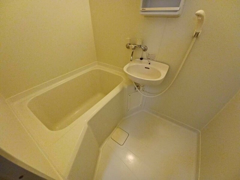  フォレスタ伊勢