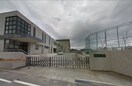 伊勢市立有緝小学校(小学校)まで966m フォレストハイツ