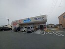 ウエルシア伊勢神久店(ドラッグストア)まで511m フォレストハイツ