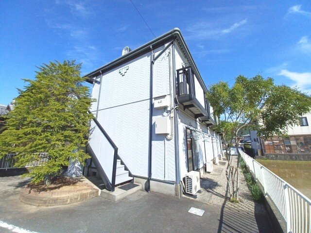  ビーラインミュー