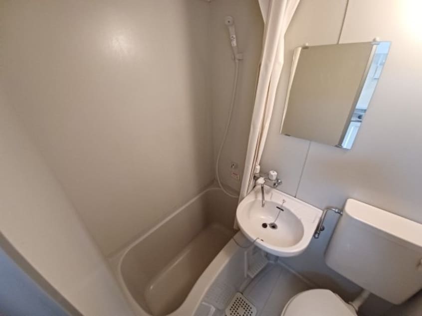  ビーラインミュー